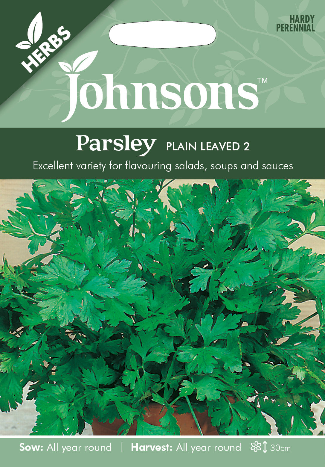 PARSLEY Plain Leaved 2