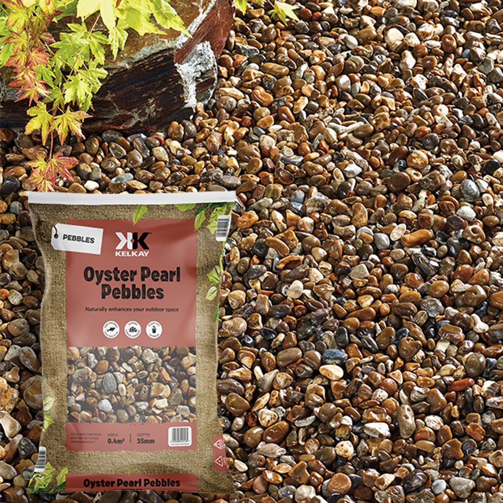 Oyster Pearl Pebbles Large Pack