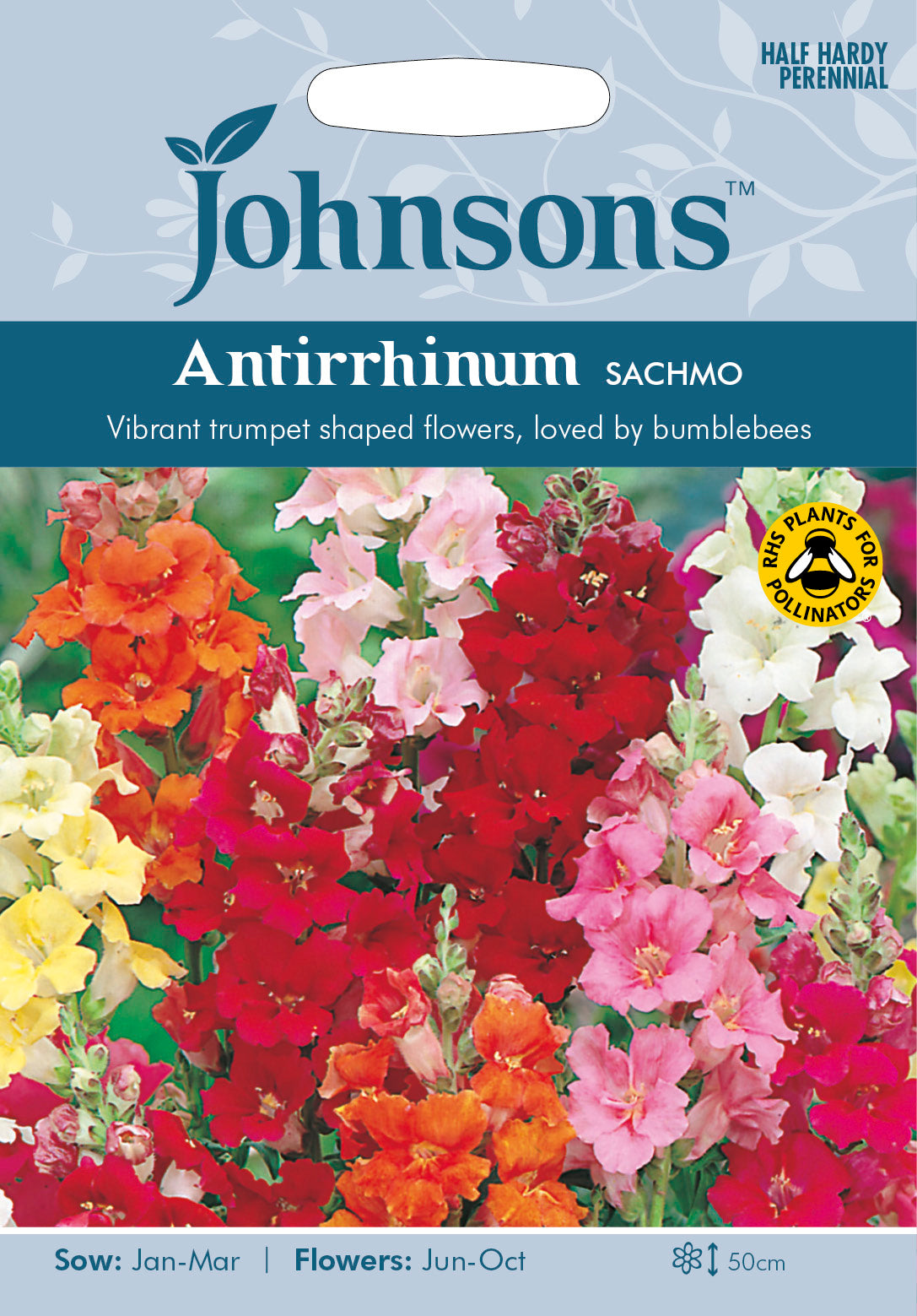 ANTIRRHINUM Sachmo