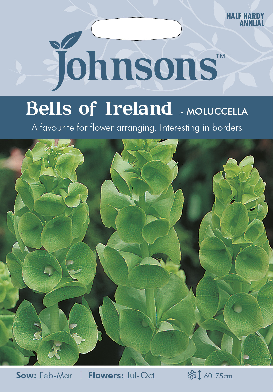 BELLS OF IRELAND Moluccella