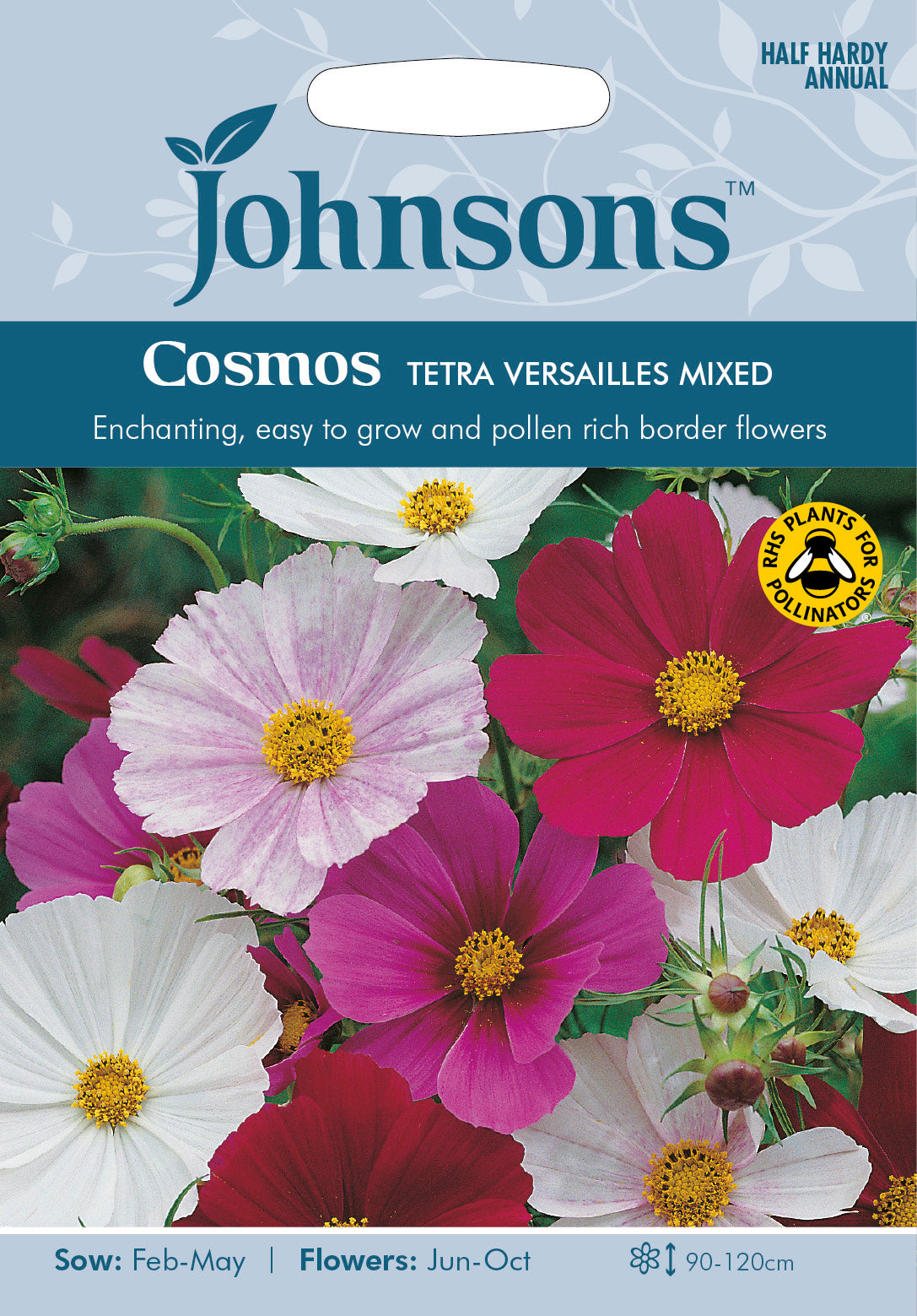 COSMOS Tetra Versailles Mixed