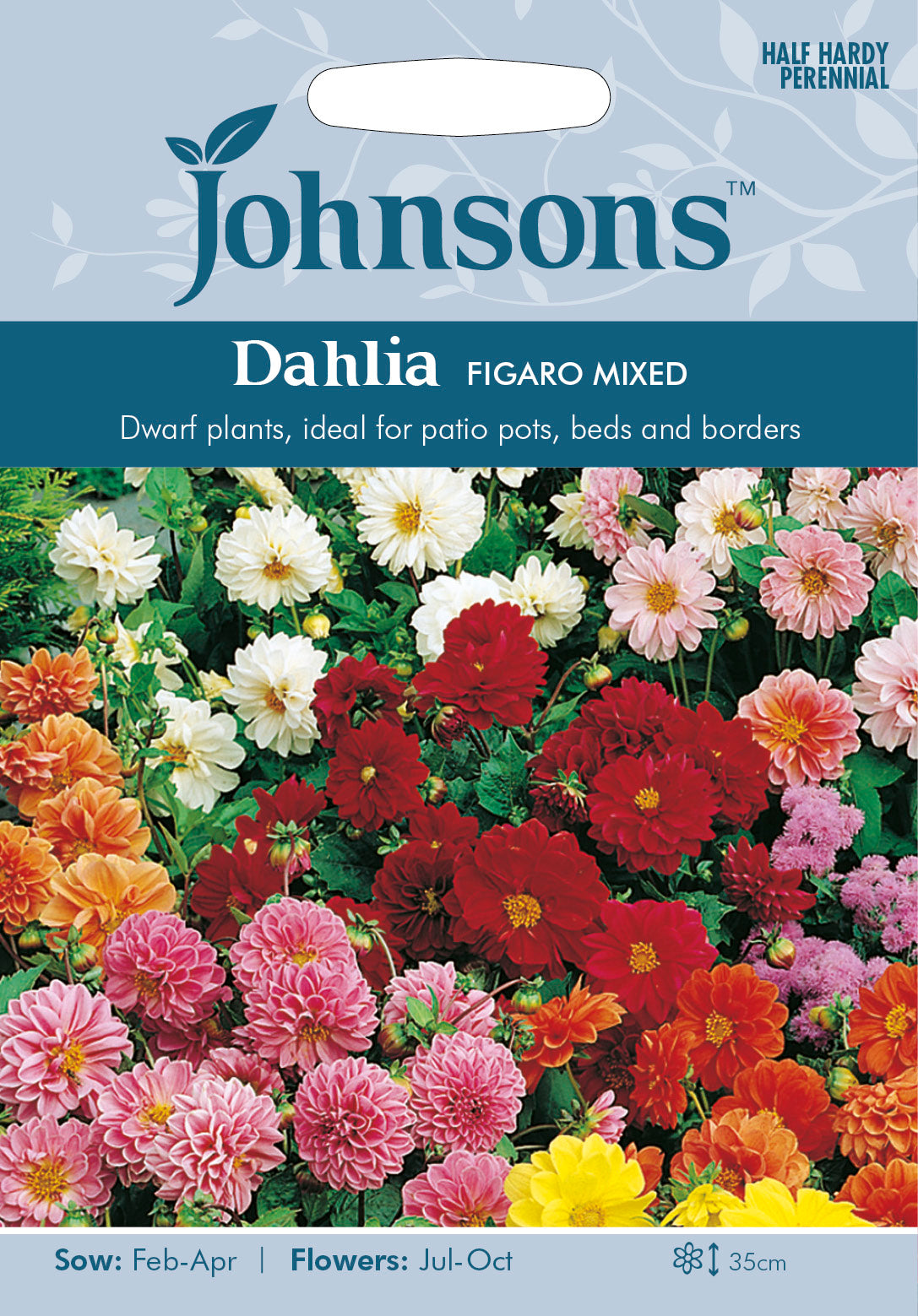 DAHLIA Figaro Mixed