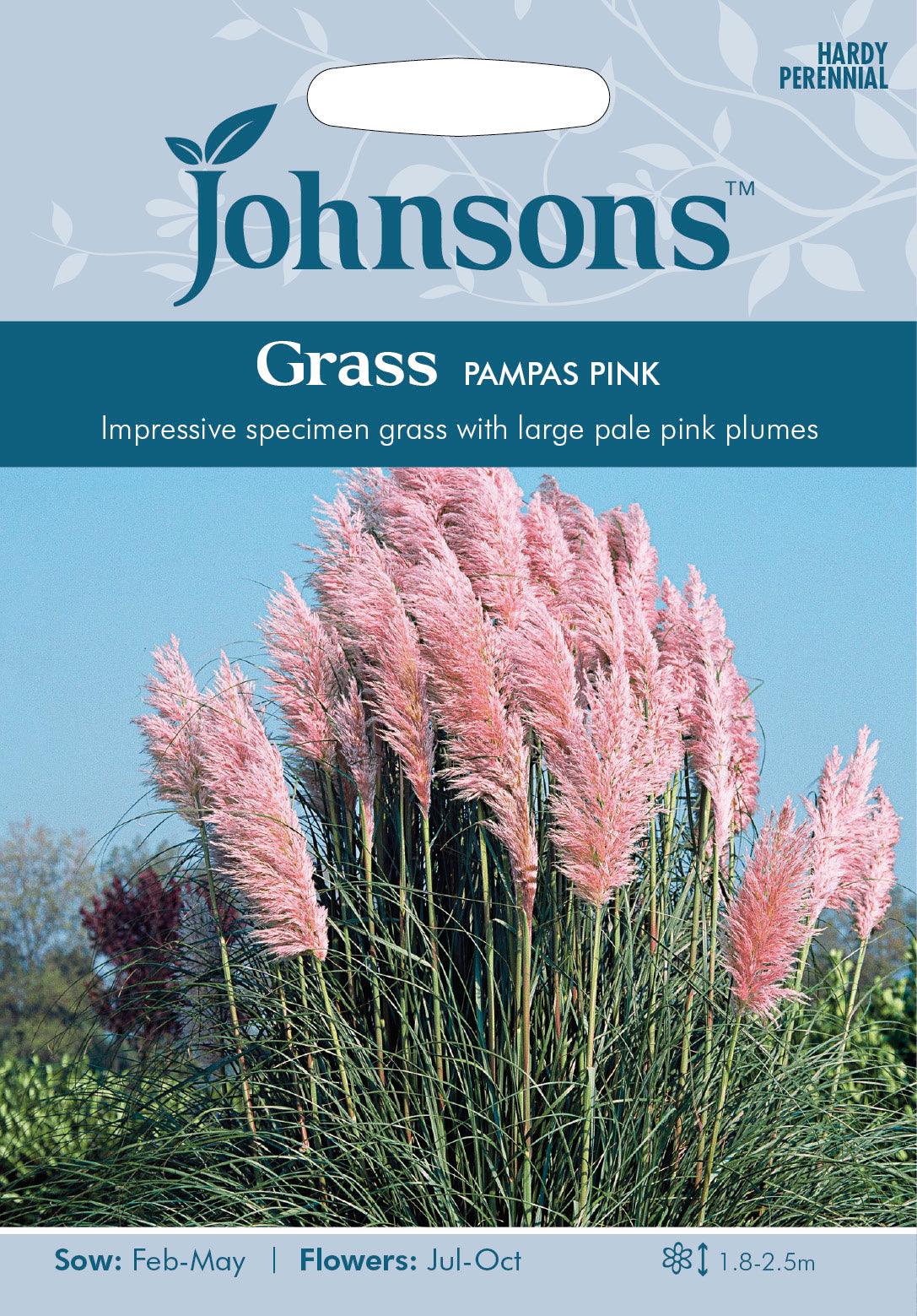 GRASS Pampas Pink