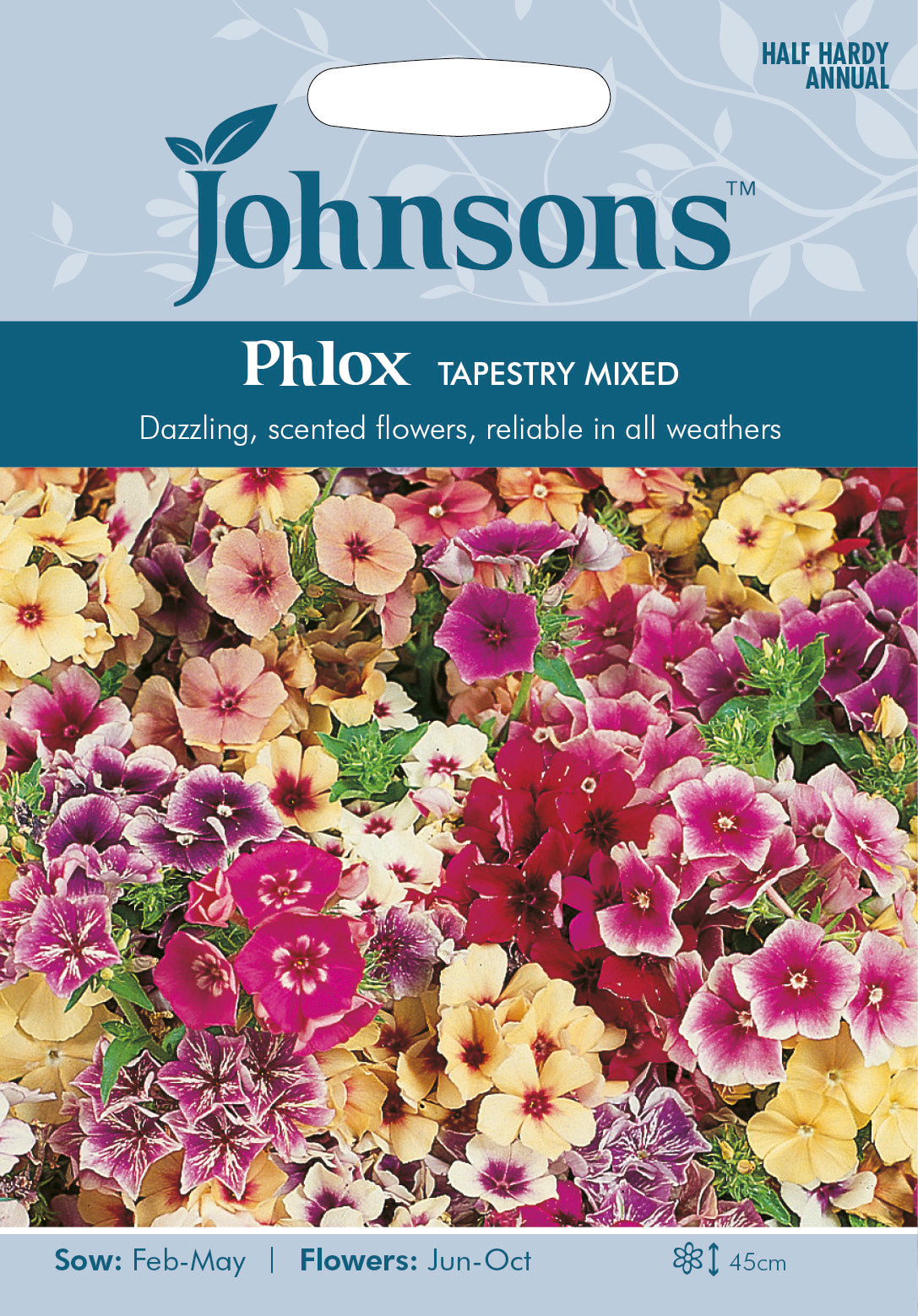 PHLOX Tapestry Mixed