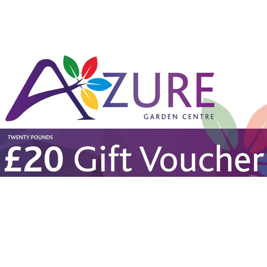 £20 Azure Gift Voucher