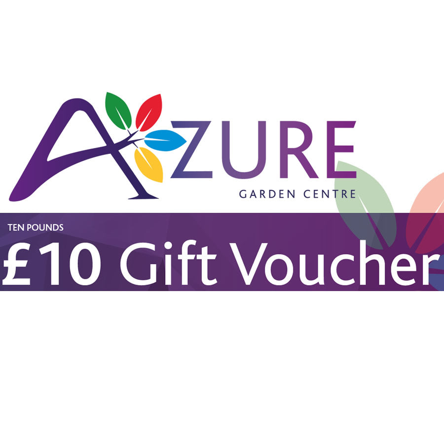 £10 Azure Gift Voucher