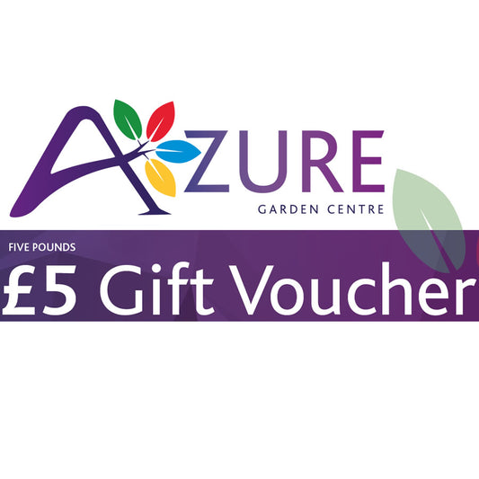 £5 Azure Gift Voucher