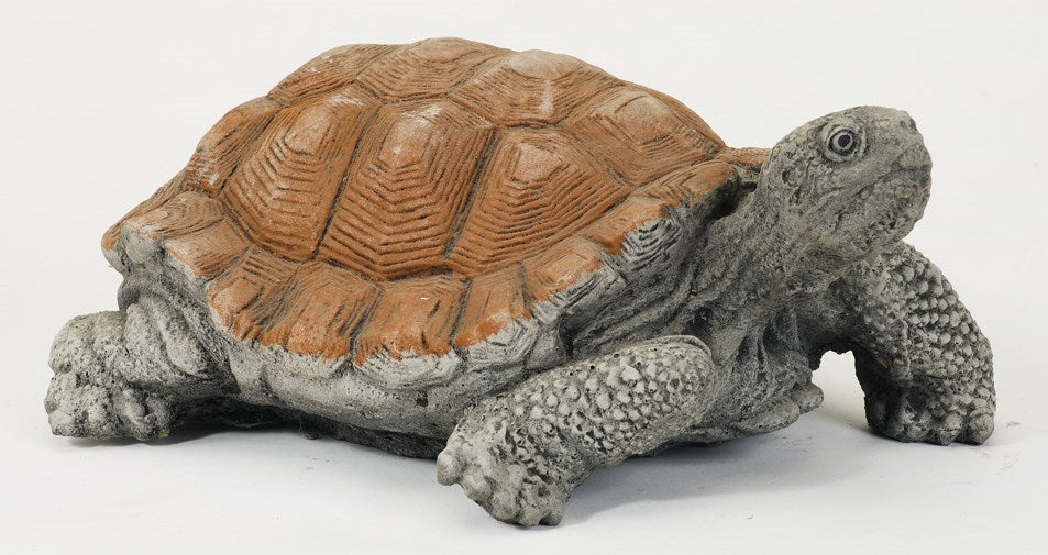 Medium Tortoise - Stone