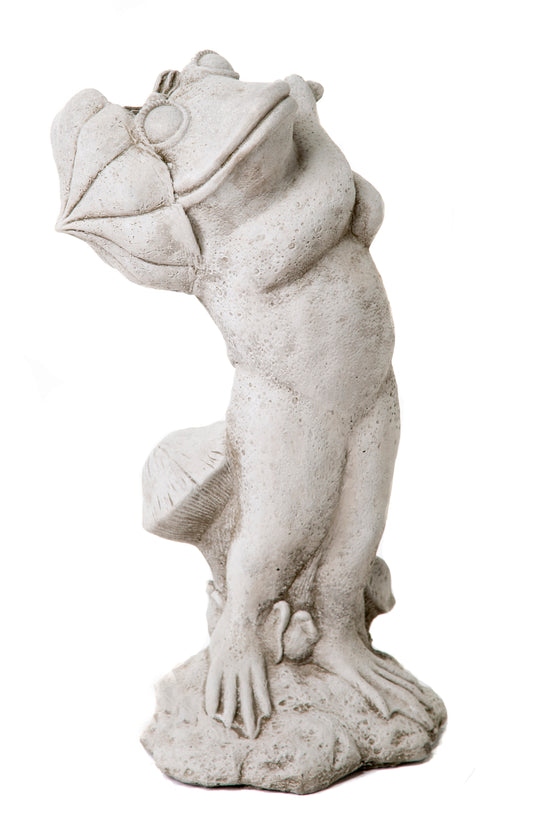 Umbrella Frog - Stone