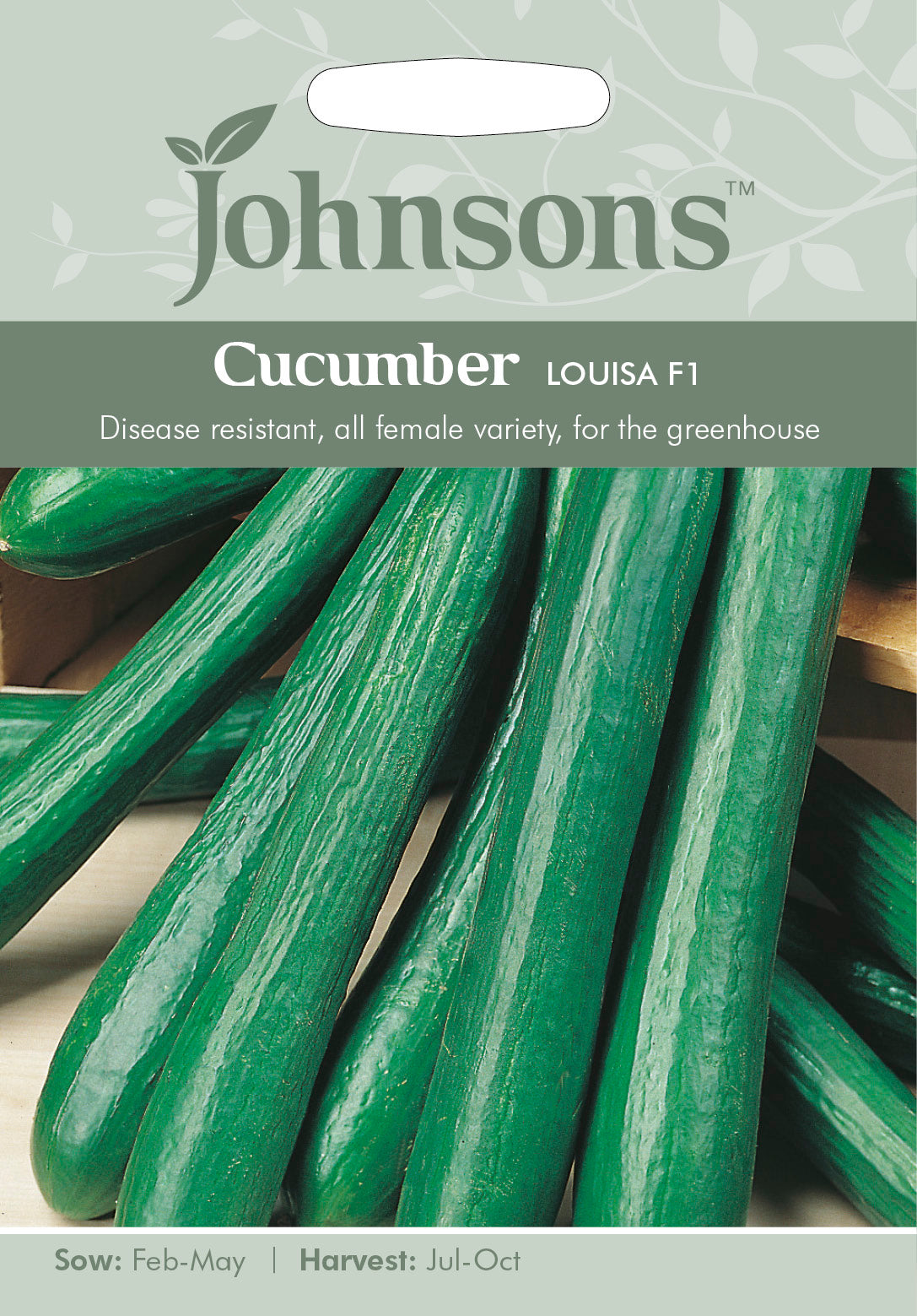 CUCUMBER Louisa F1