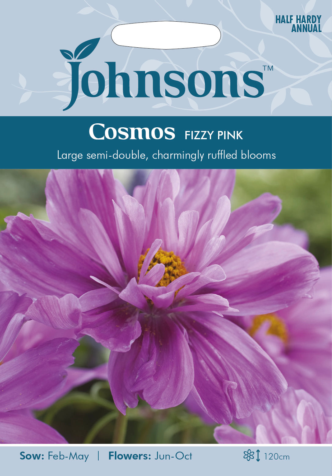 COSMOS Fizzy Pink