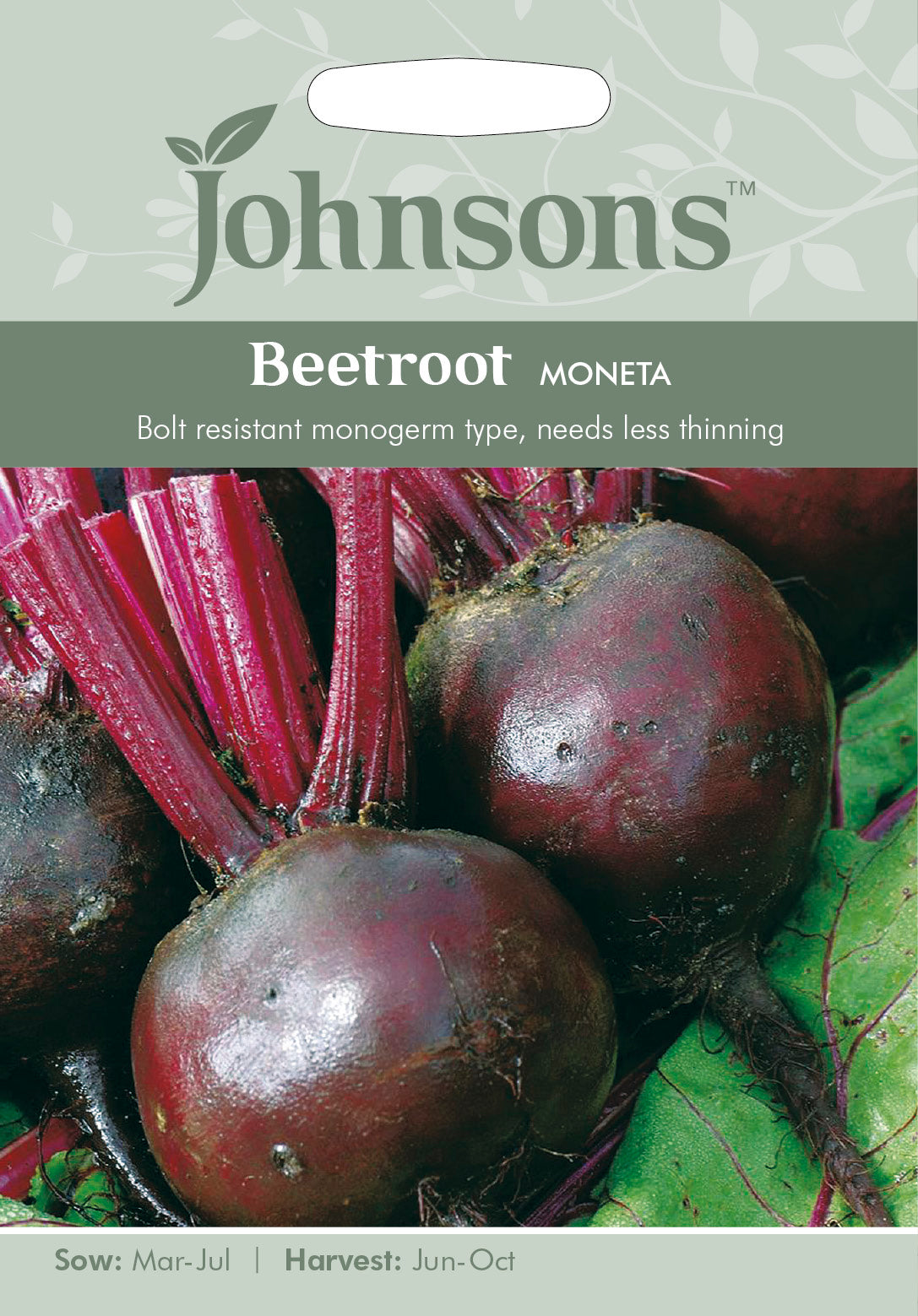 BEETROOT Moneta