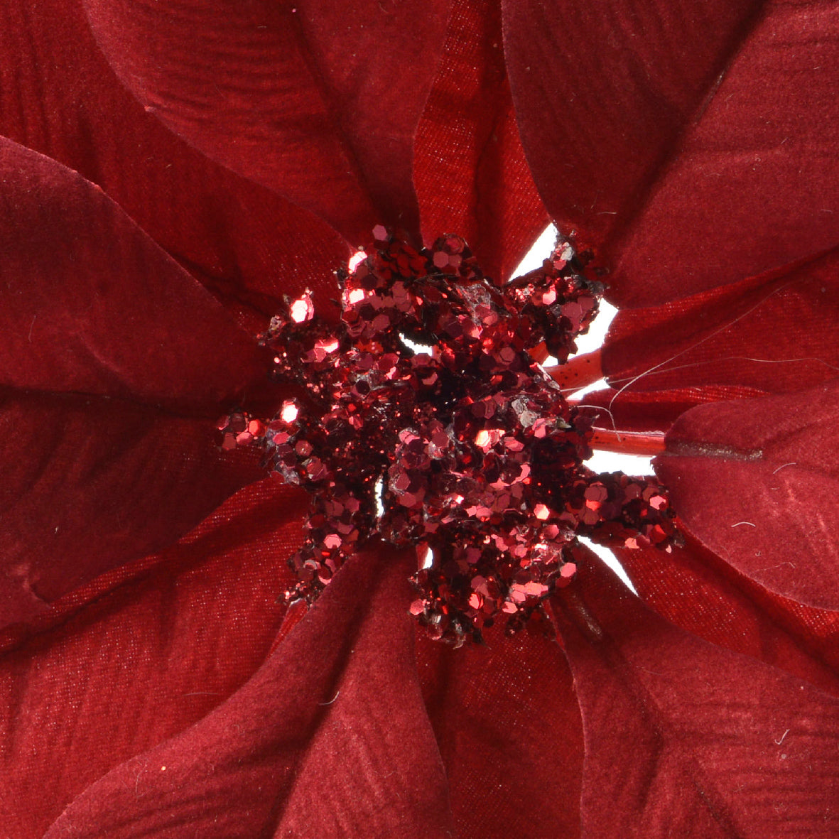 Poinsettia Clip Red 24Cm