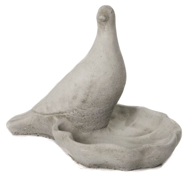 Pigeon - Stone