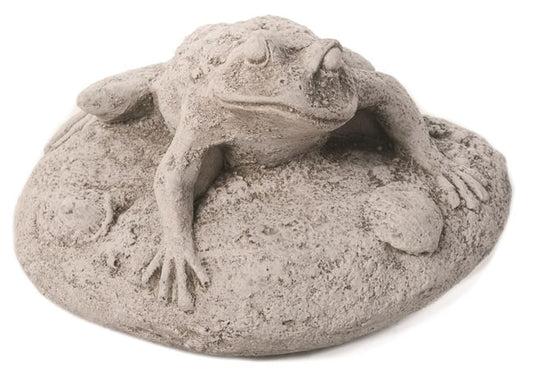 Frog On Rock - Stone