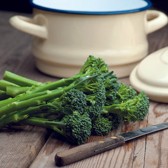 Organic BROCCOLI Green Sprouting