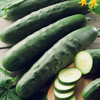 Organic CUCUMBER Marketmore 70