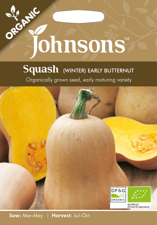 Organic SQUASH (Winter) Early Butternut