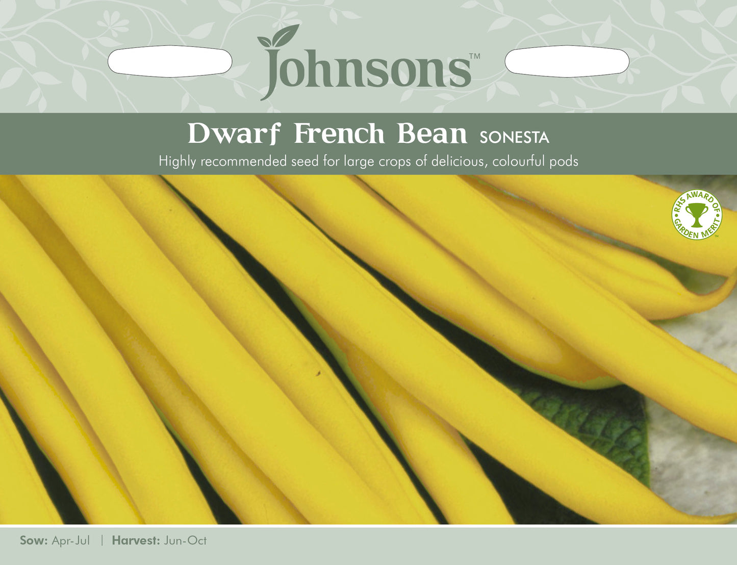 DWARF FRENCH BEAN Sonesta