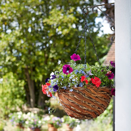 14In Rafiki Hanging Basket