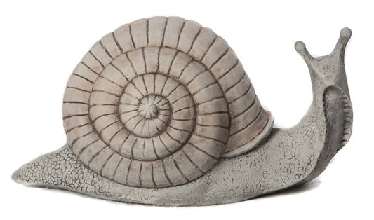 Extra Large Snail - Stone