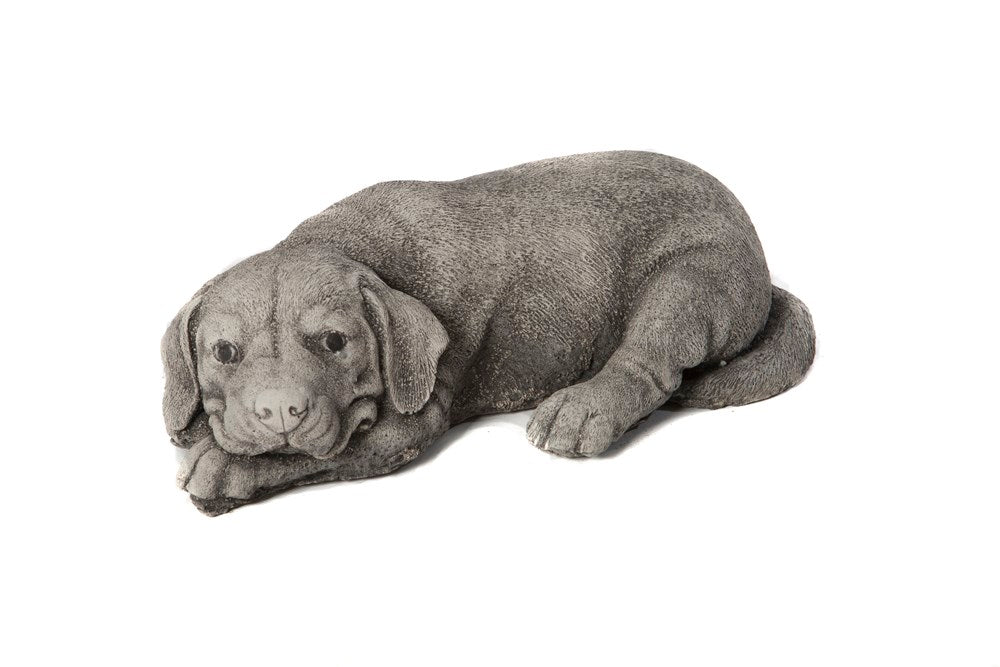 Sleeping Labrador - Stone