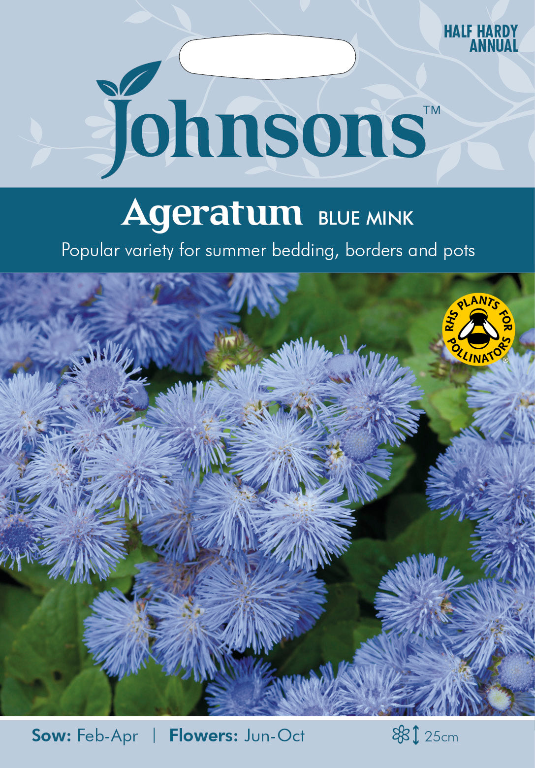 AGERATUM Blue Mink