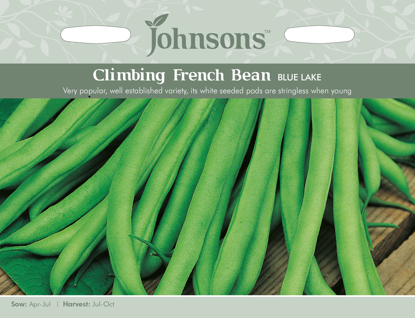 CLIMBING FRENCH BEAN Blue Lake