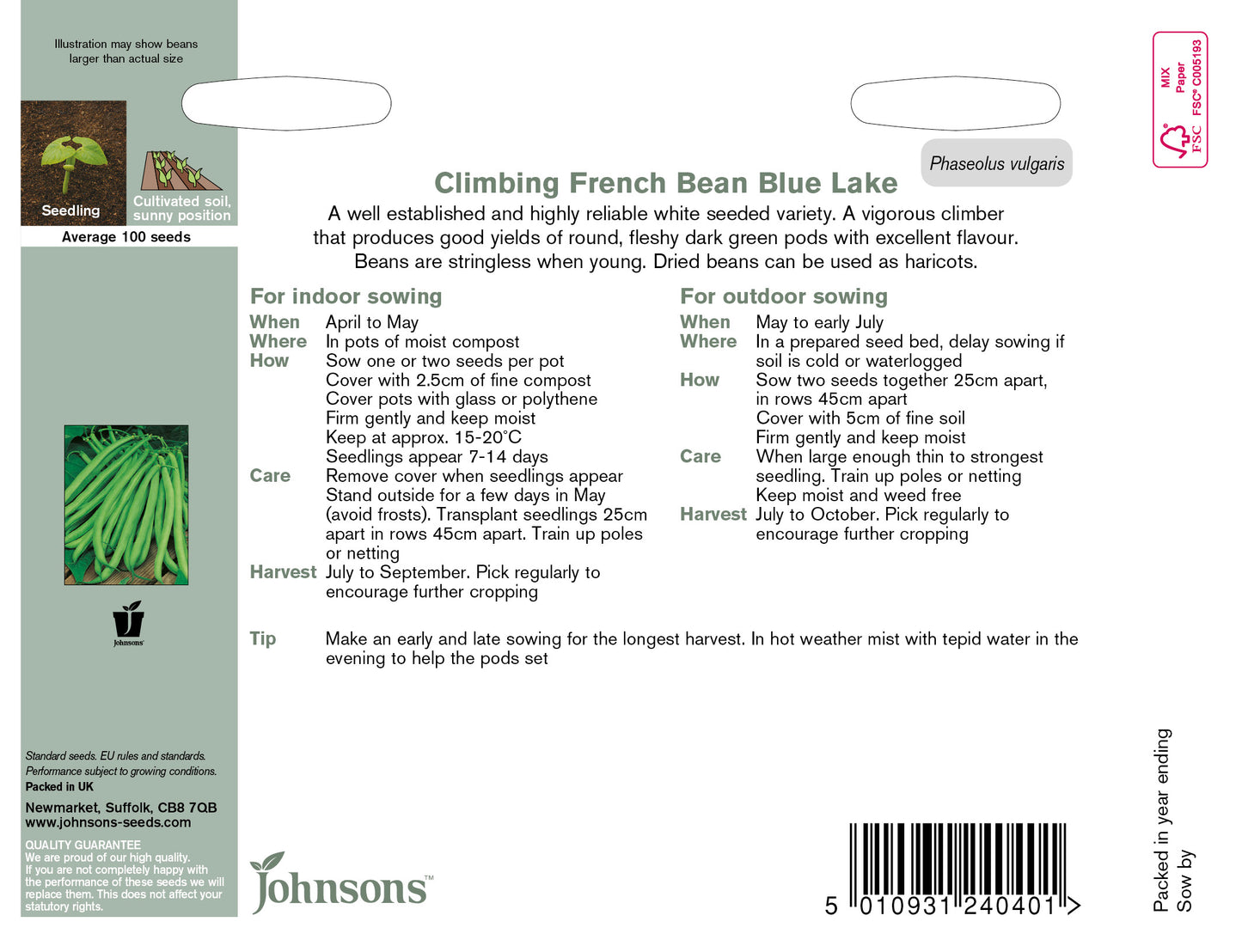 CLIMBING FRENCH BEAN Blue Lake