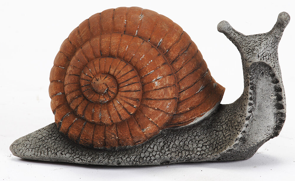 Snail - Stone