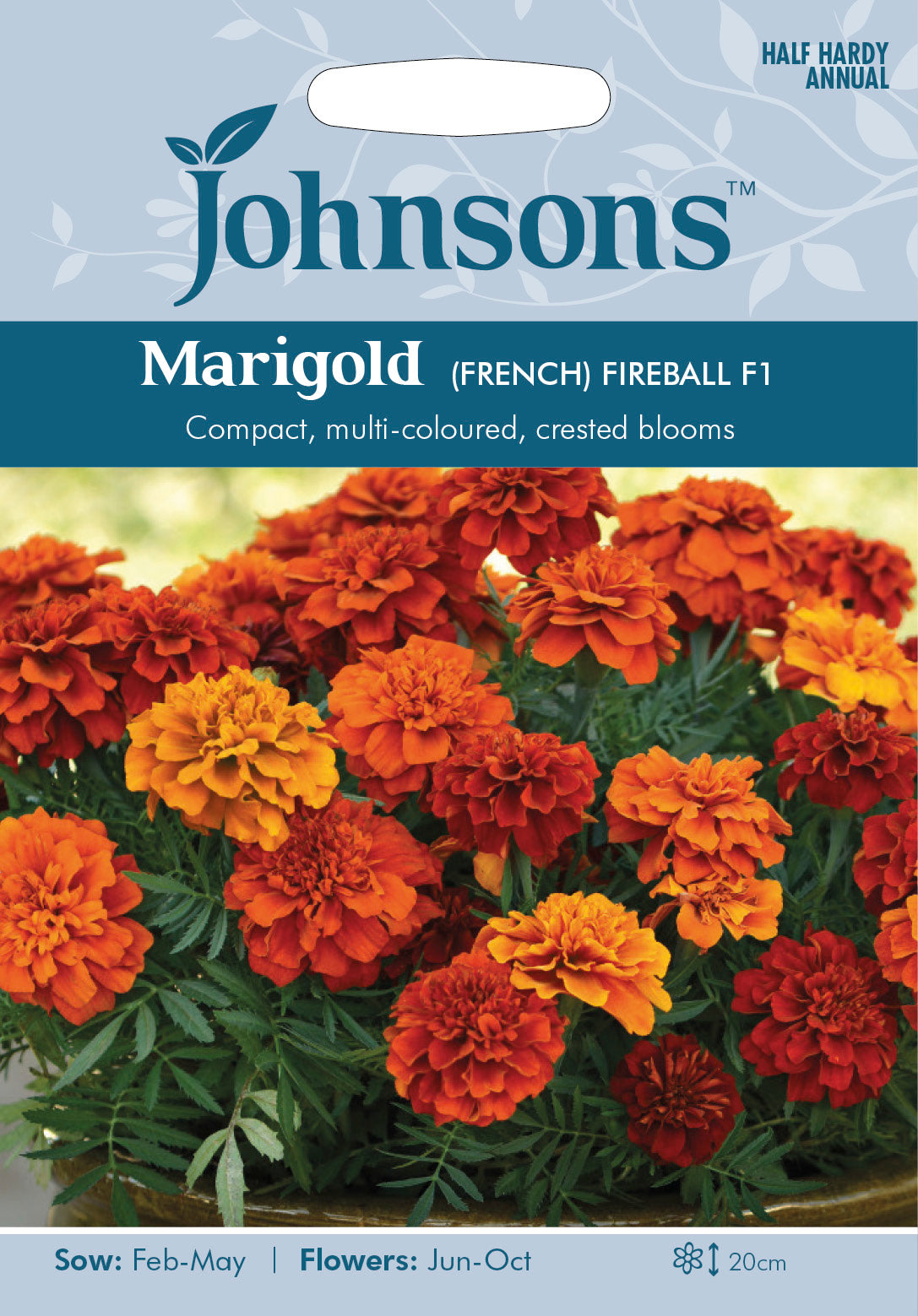 MARIGOLD (French) Fireball F1