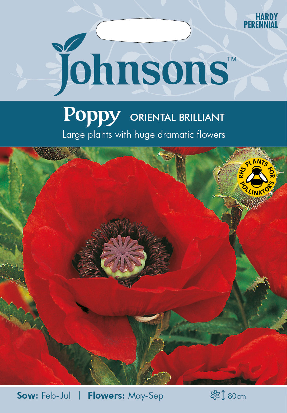 POPPY Oriental Brilliant