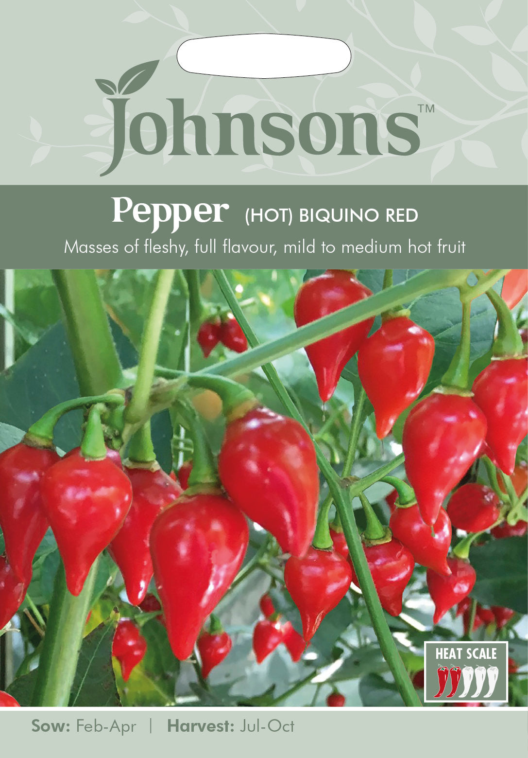 PEPPER (Hot) Biquino Red