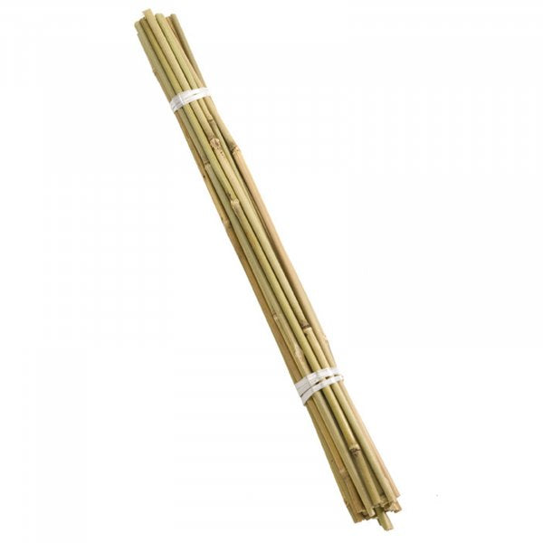 Bamboo Canes 60Cm 20Pk