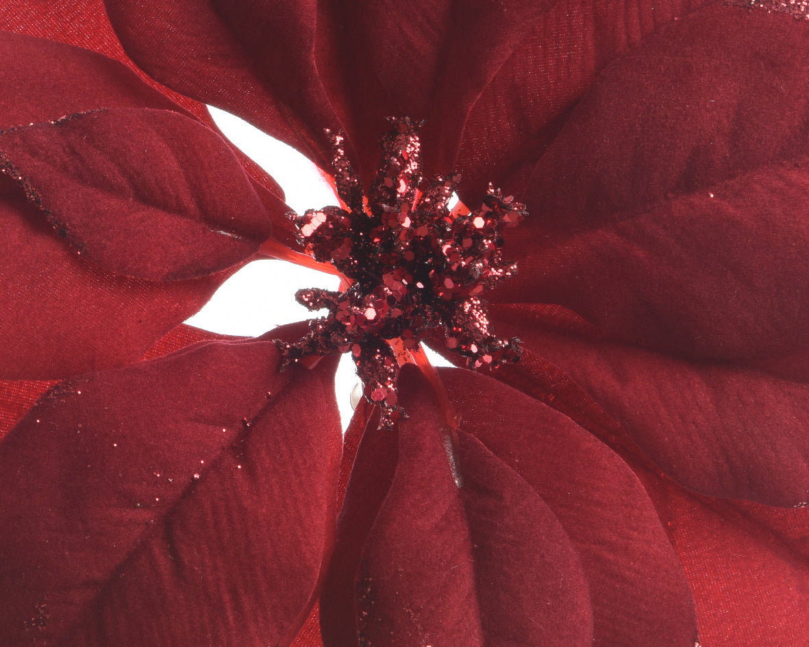 Poinsettia Clip Burgundy 24Cm