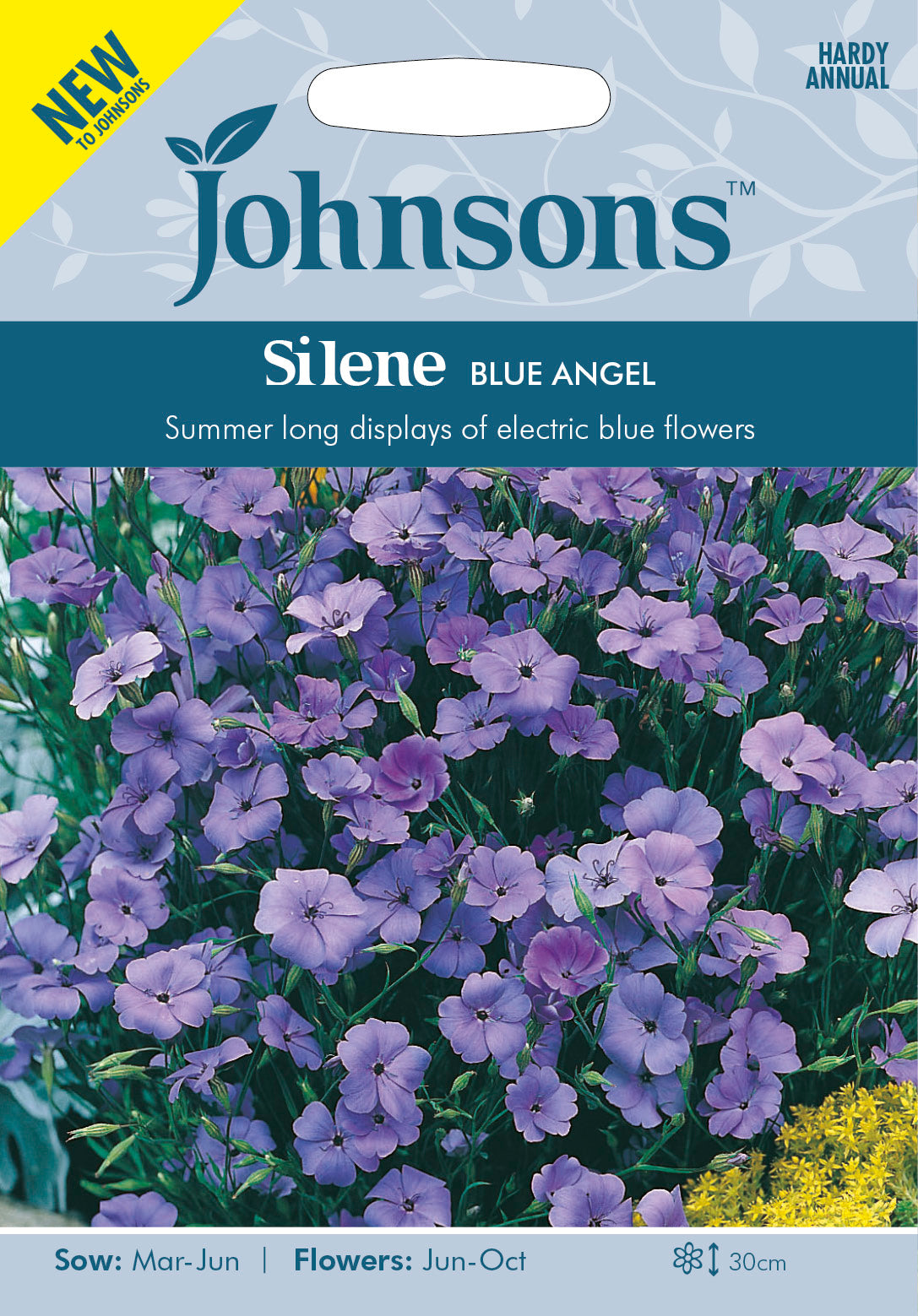 SILENE Blue Angel