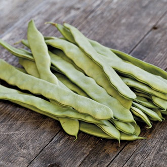 Organic CLIMBING FRENCH BEAN Limka