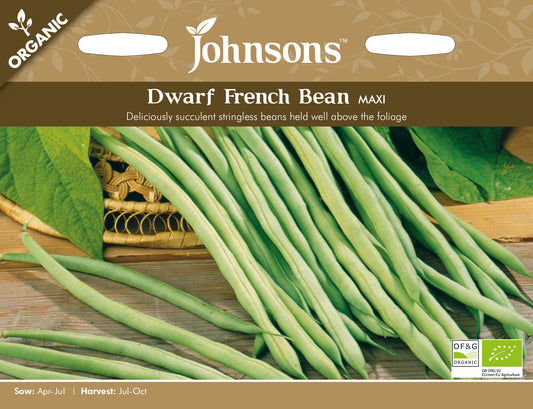 Organic DWARF FRENCH BEAN Maxi