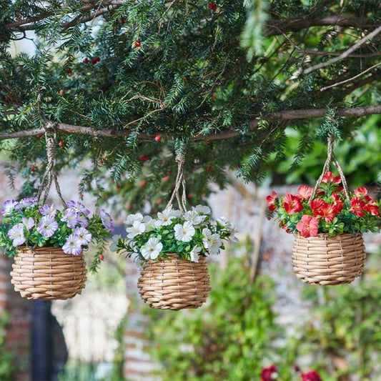 Basket Bouquets Blossom