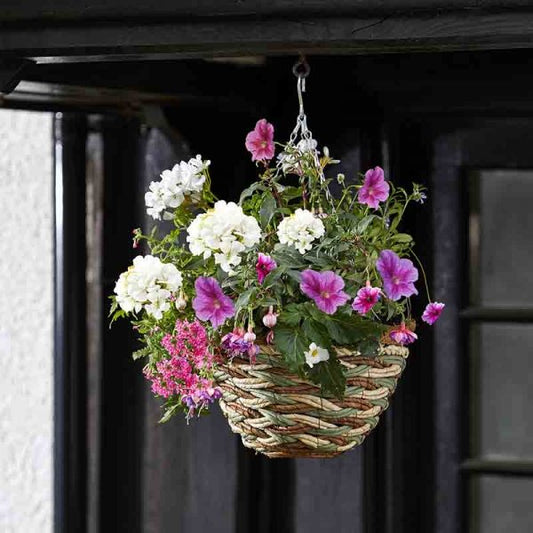 12In Trinity Hanging Basket