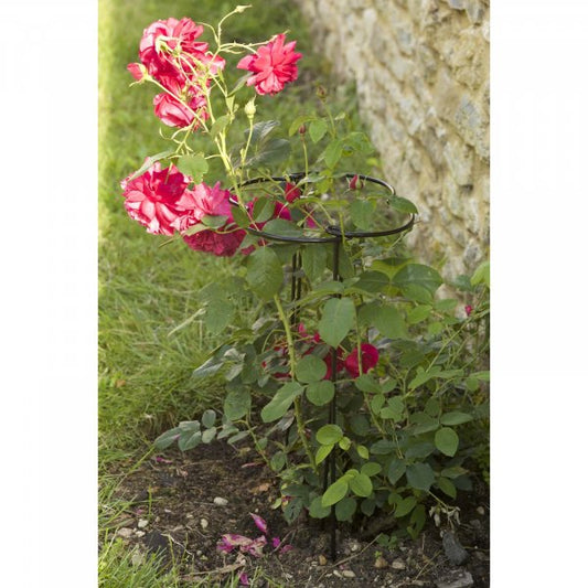 Gro Hoop 2 Pk 40Cm With 75Cm Legs