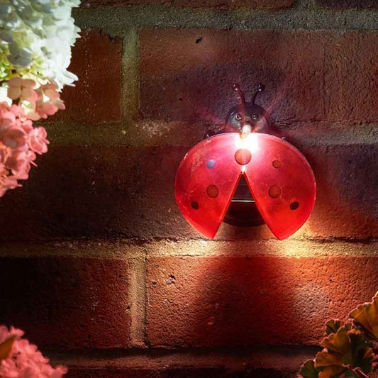 Lady Bug Lights