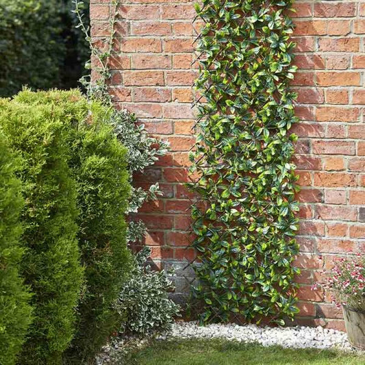 Lemon Leaf Willow Trellis 180X90Cm