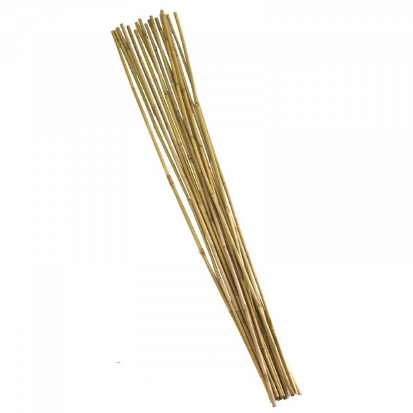 Bamboo Canes Extra Thick 1.8M 10Pk