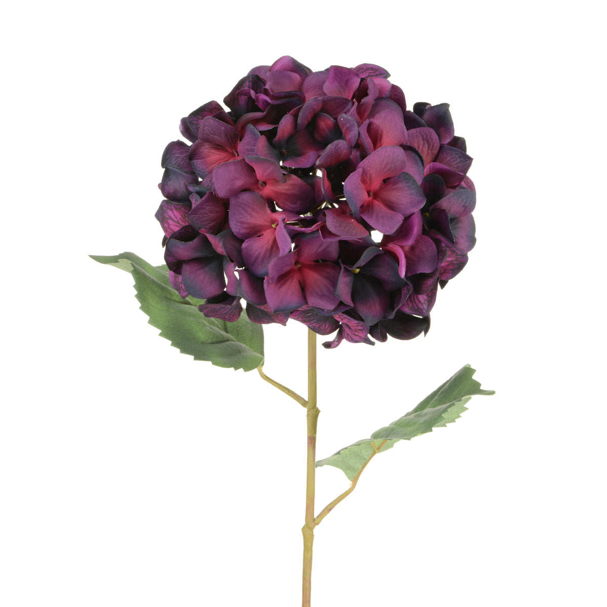 Luxury Hydrangea Aubergine 68Cm