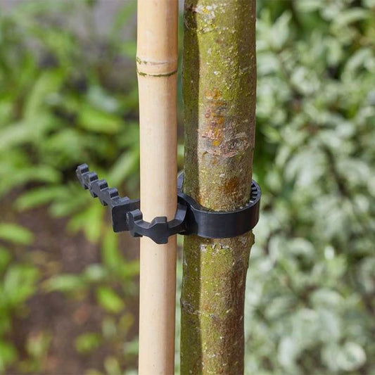 Tree Tie 50Cm
