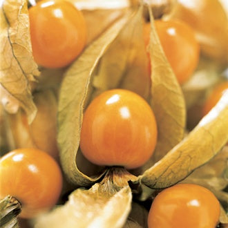 CAPE GOOSEBERRY Physalis peruviana