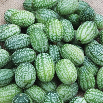 CUCAMELON