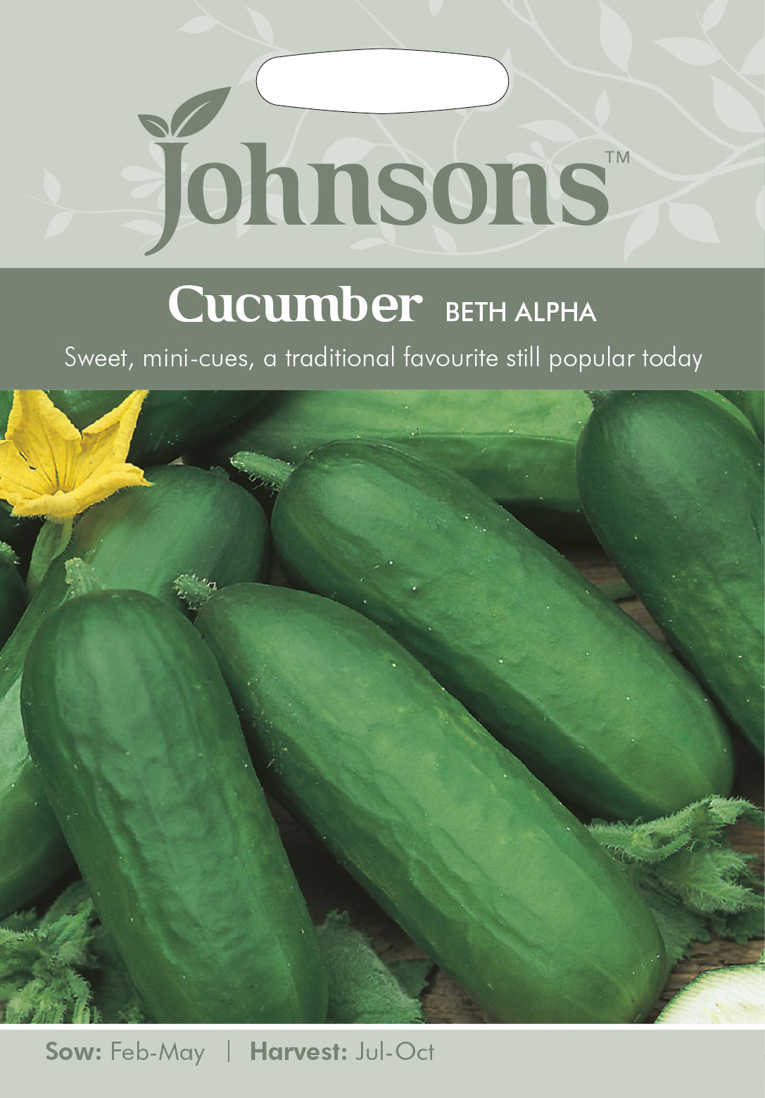 CUCUMBER Beth Alpha