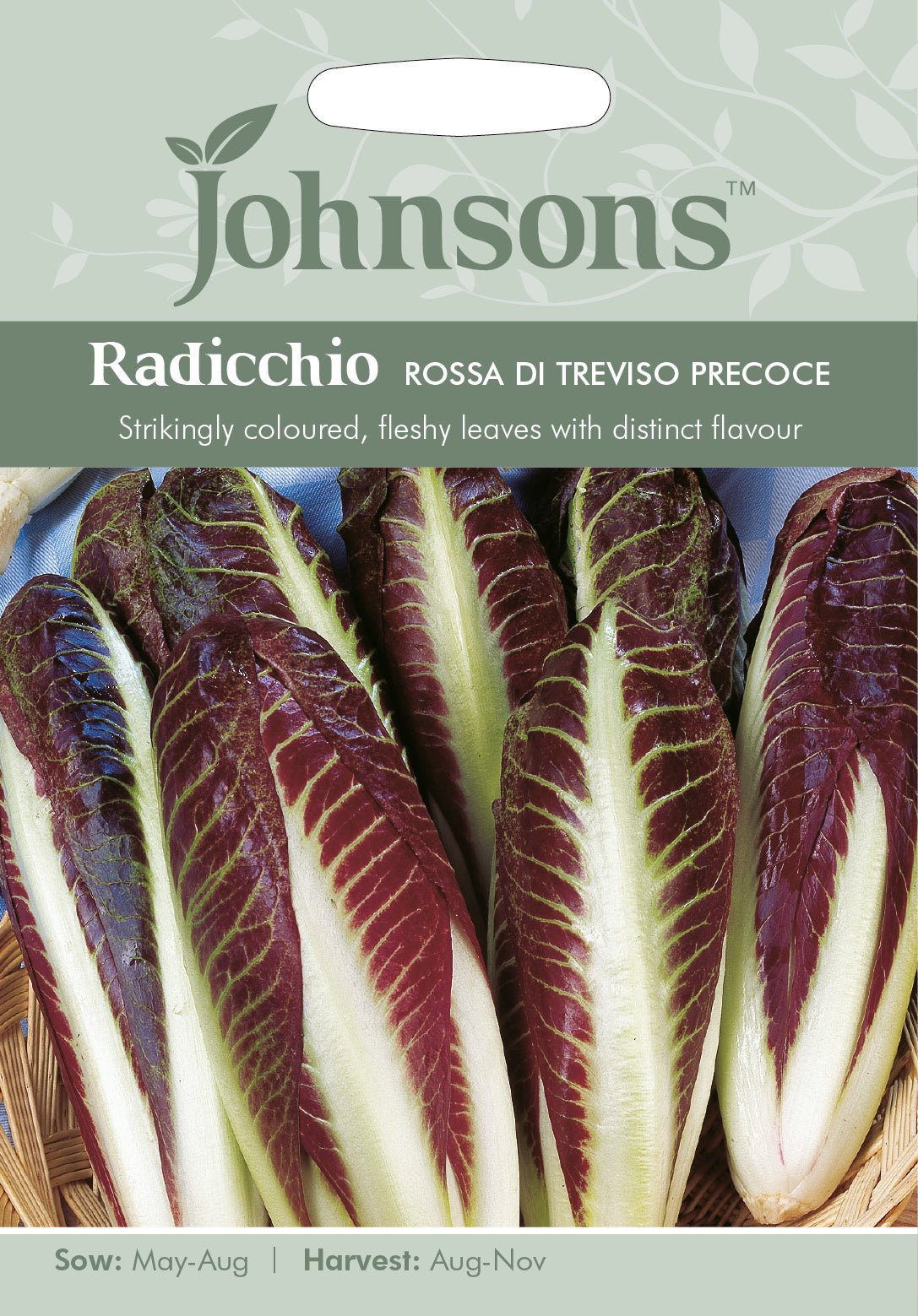 RADICCHIO Rossa di Treviso precoce